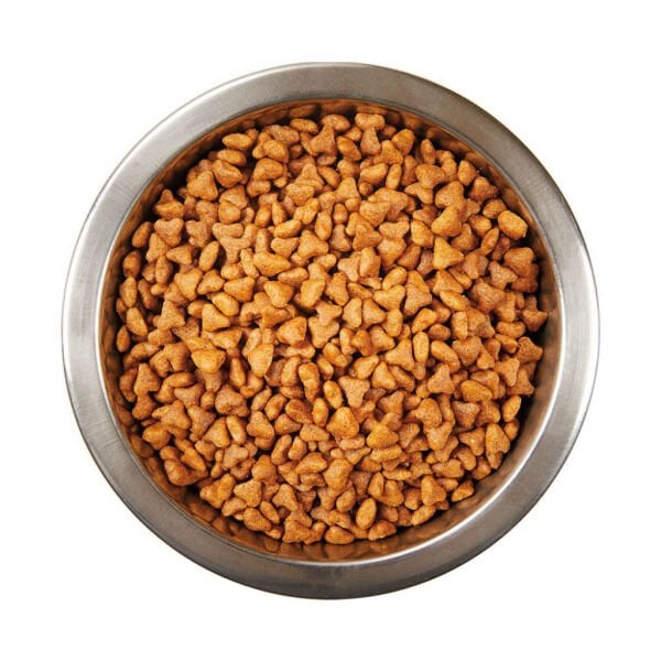 Katzoo Tavuklu Yavru Kedi Maması 1,5kg 12 Adet