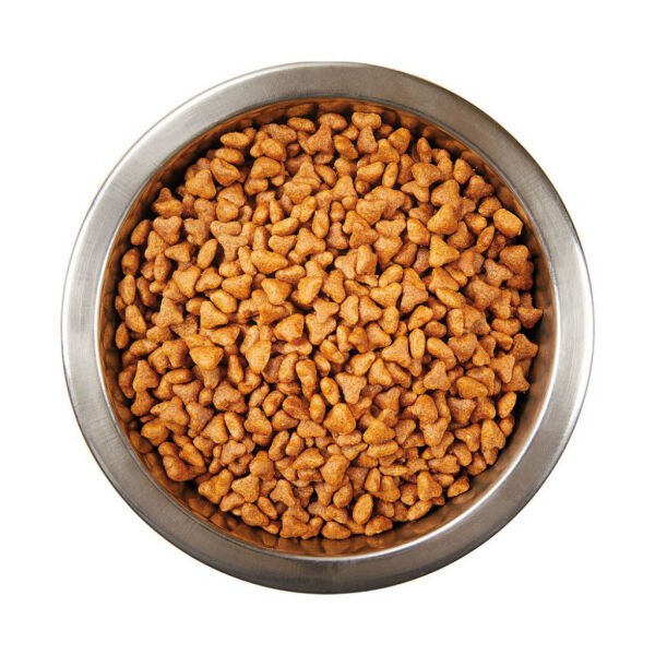 Katzoo Tavuklu Yavru Kedi Maması 1,5kg 12 Adet