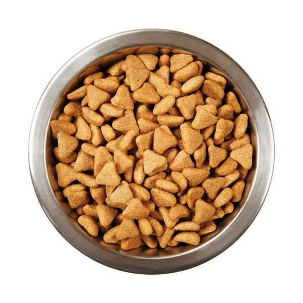 Katzoo Kuzu Etli Pirinçli Yetişkin Köpek Maması 3kg 6 Adet