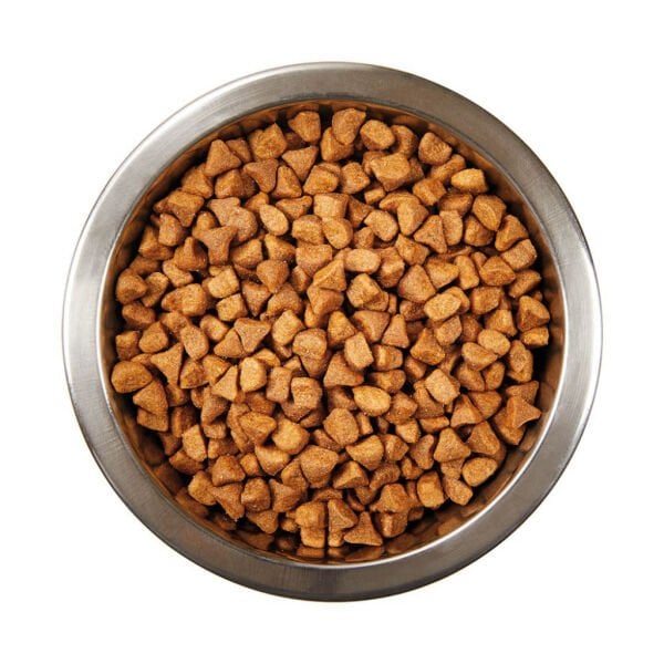 Katzoo Kuzu Etli Pirinçli Yavru Köpek Maması 3kg 6 Adet