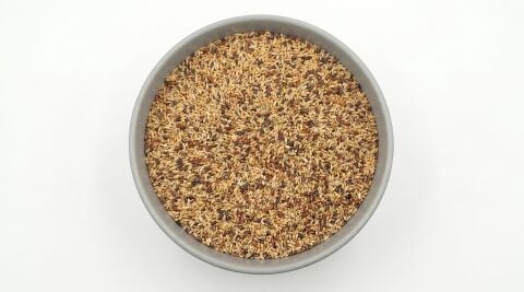 Katzoo Kanarya Karışık Yemi - Renkli Ekmeksiz- 20 kg