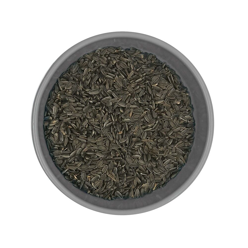 Katzoo Siyah Çekirdek Kuş Yemi Hammaddesi | Papağan, Muhabbet Kuşu ve Süs Kuşları - 25 kg
